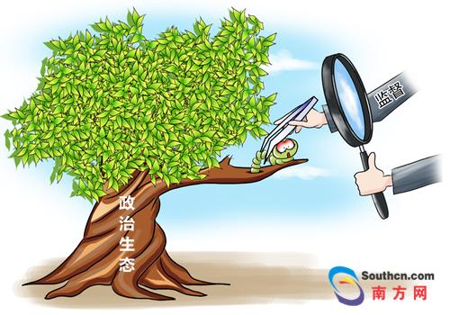 构筑坚如磐石的“组织优势”