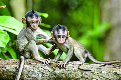 1550124462598670.jpg A01-3.jpg