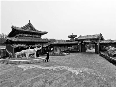 毁林违建“曹园”责任人被刑拘
