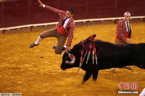 西班牙大选拉开帷幕 反斗牛党料首度晋身国会