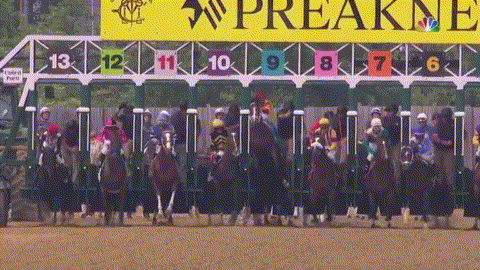 绝了！美国赛马甩飞骑手 一路狂奔冲过终点（图）