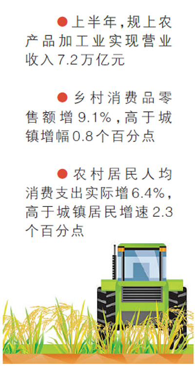 供给足 物价稳 信心增（权威发布·年中经济看亮点）