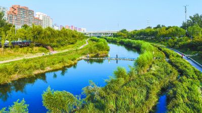 小微湿地每年积水时间不得低于2个月