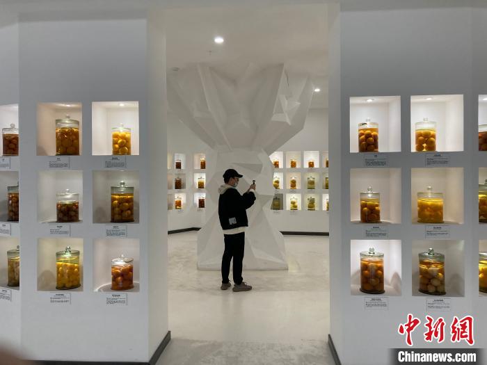 重庆忠县建成中国首个柑橘资源储备园及科普教育基地