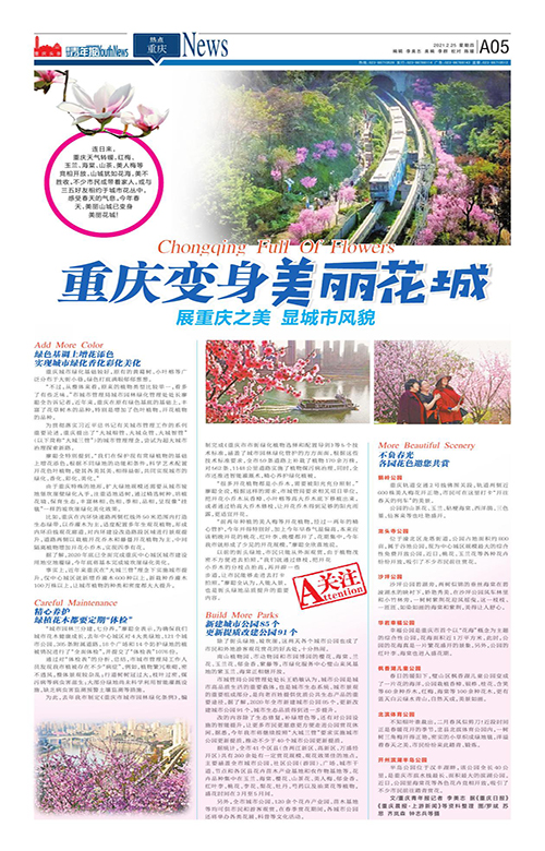 A05-重庆变身美丽花城