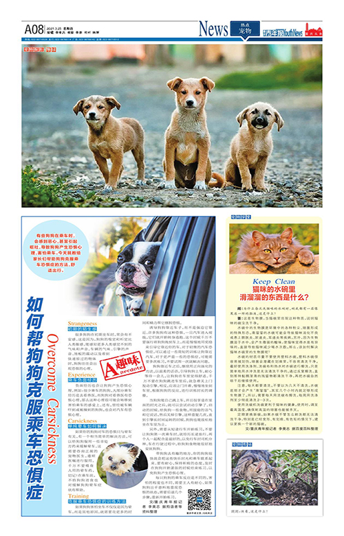 A08-如何帮狗狗克服乘车恐惧症