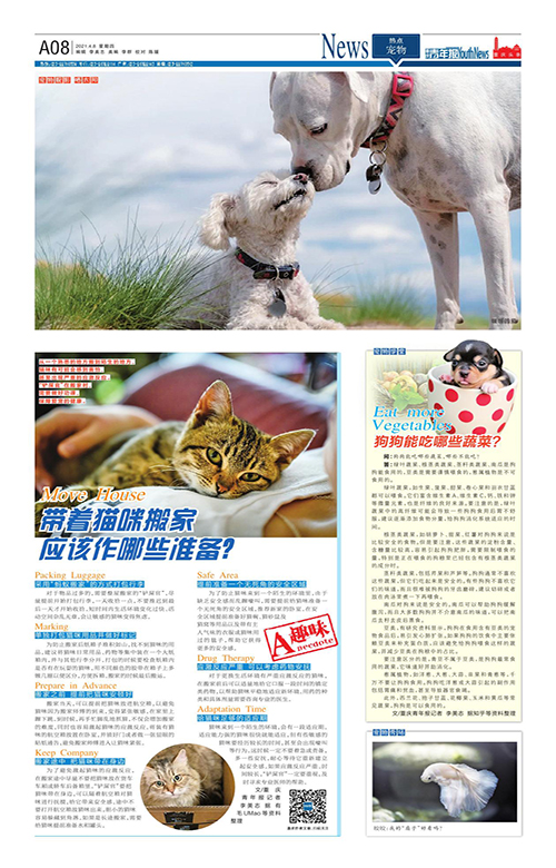 A08- 带着猫咪搬家应该作哪些准备？