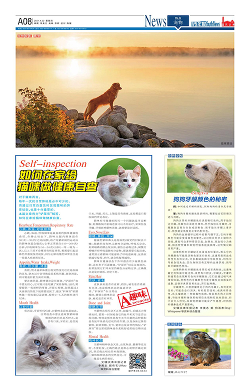 A08-如何在家给猫咪做健康自查
