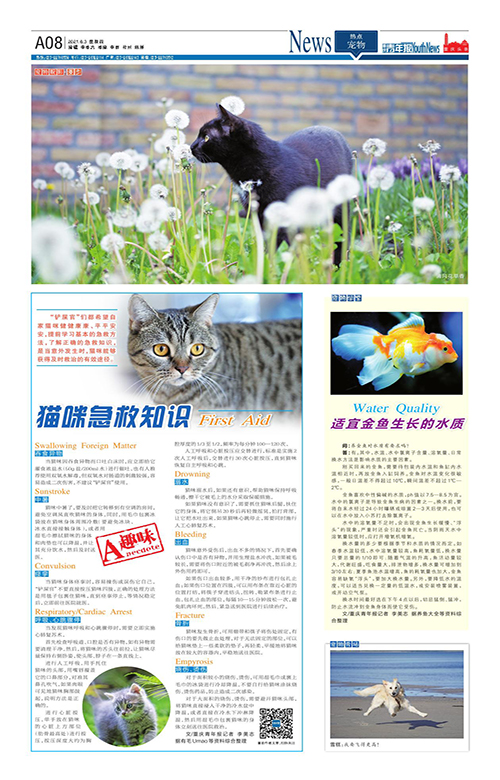 A08-猫咪急救知识