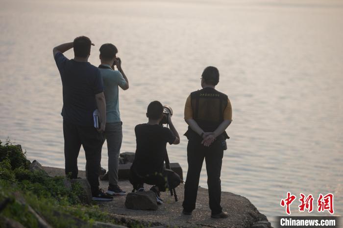 图为赣江边的摄影爱好者正在拍摄江豚 刘力鑫 摄