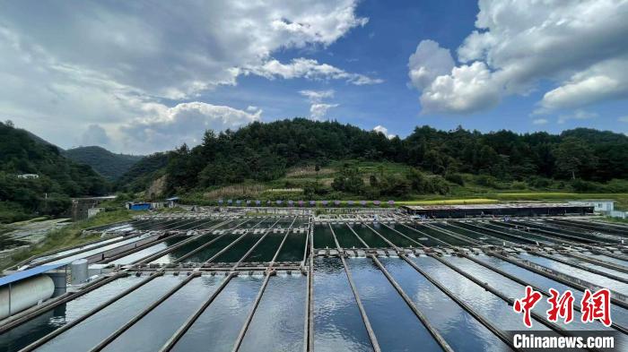 图为鲟鱼养殖示范基地。　刘威 摄