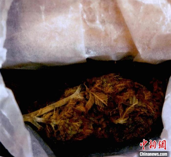 用比特币从境外走私毒品一男子被浙江仙居检方提起公诉