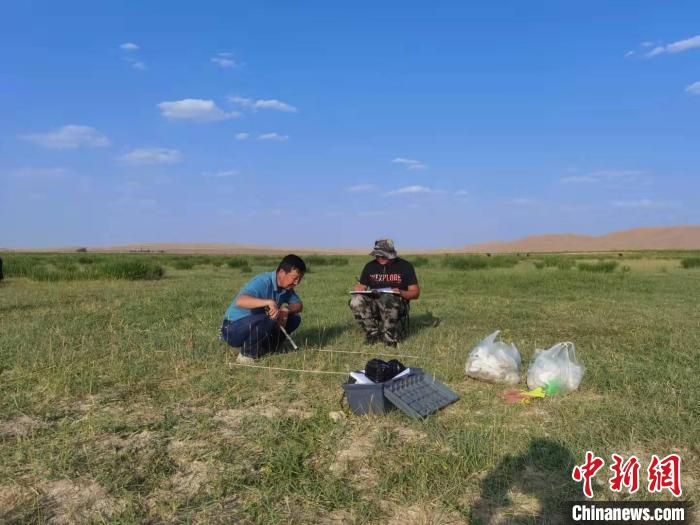 “生命禁区”的坚守者达来:14年为绿色阿拉善赋能