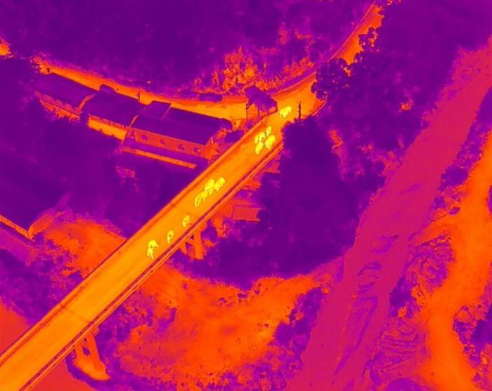 图为监测到的象群。 云南省森林消防总队提供 图为监测到的象群。 云南省森林消防总队提供