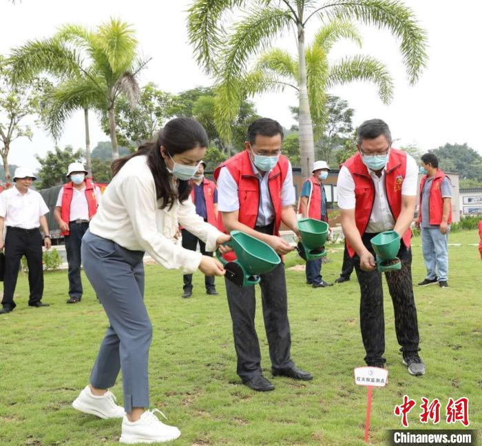 广东省2021年林业红火蚁防控活动现场 广东省林业局 供图 广东省2021年林业红火蚁防控活动现场 广东省林业局 供图