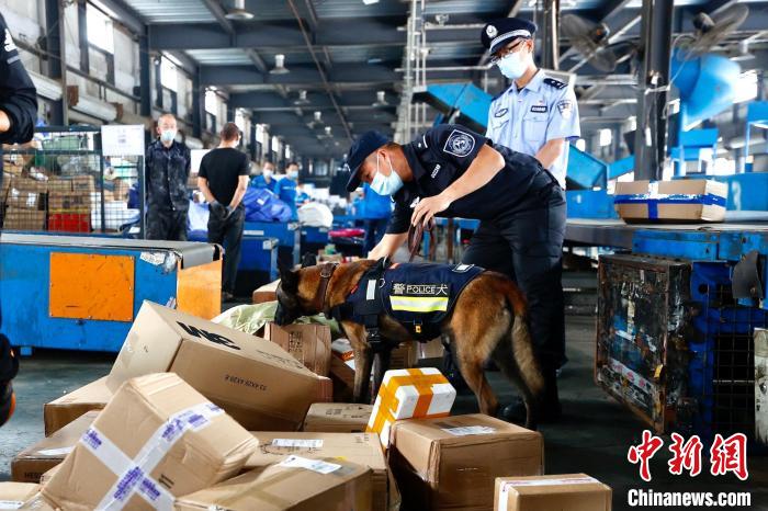 9月9日,北京市禁毒办开展寄递渠道禁毒百日攻坚公开查缉行动。 富田 摄 9月9日,北京市禁毒办开展寄递渠道禁毒百日攻坚公开查缉行动。 富田 摄
