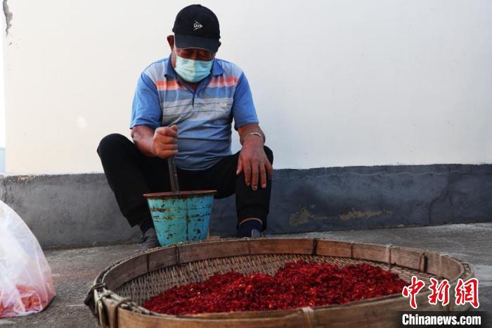 捣辣椒 苍雁 摄 捣辣椒 苍雁 摄