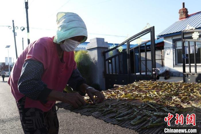 老人在晒辣椒 苍雁 摄 老人在晒辣椒 苍雁 摄