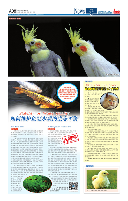 A08-如何维护鱼缸水质的生态平衡