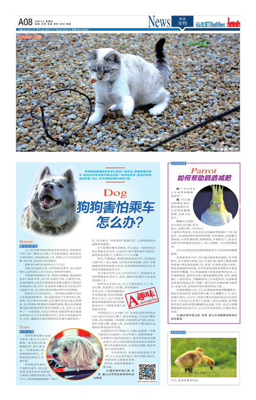 A08-狗狗害怕乘车怎么办？