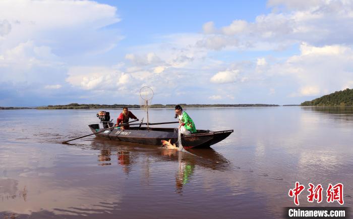 渔民在江上捕捞“头鱼”。 杨启坤 摄 渔民在江上捕捞“头鱼”。 杨启坤 摄