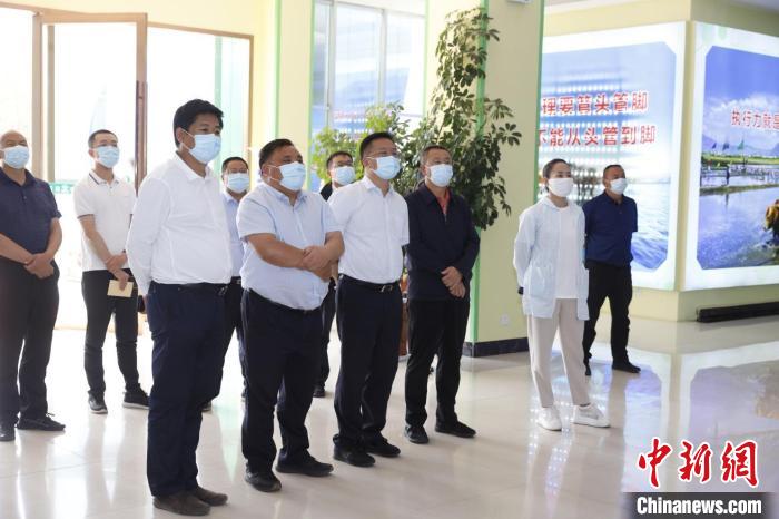 专家建言洱海治理:密切监测水质,提高治污效能