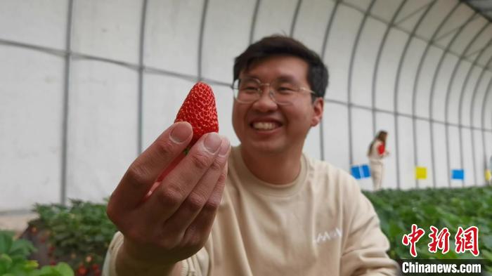 【十年@每一个奋斗的你】“90后”“草莓叔叔”追当“新农人”：用技术带领乡亲致富