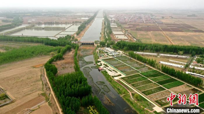 为河水加“滤芯”河北廊坊人工湿地成市民生态打卡地