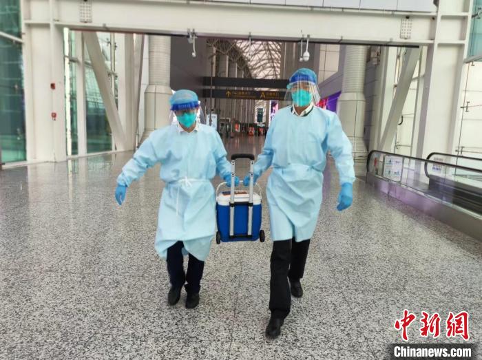 广州白云机场航空运送服务分公司工作人员护送人体器官 陈佳 摄 广州白云机场航空运送服务分公司工作人员护送人体器官 陈佳 摄