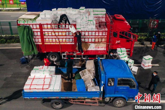 卸货现场。 奉新供图 卸货现场。 奉新供图