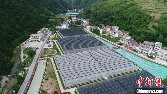 航拍陕西省柞水县金米村。　党田野 摄