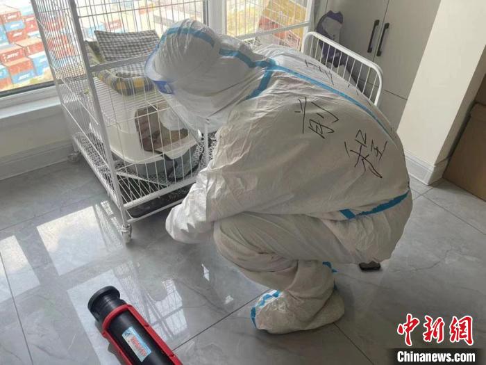 “95后”抗疫小伙变身“宠物保姆”：照看它们也在治愈自己