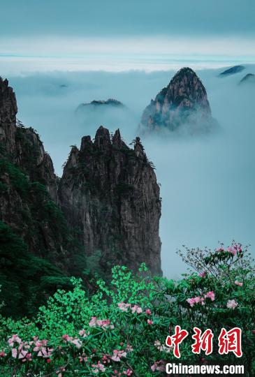 安徽黄山风景区“五一”假期迎客2.36万人