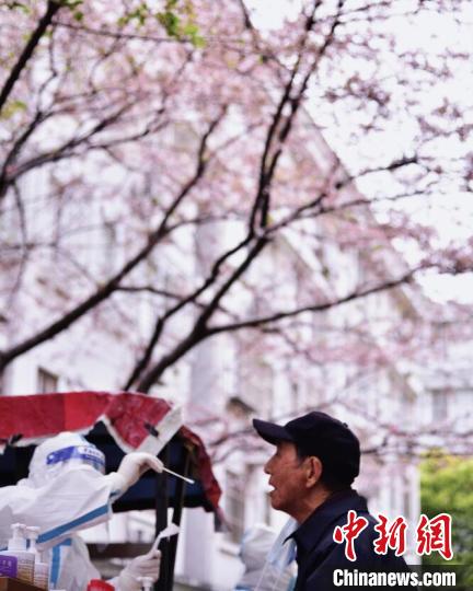 唐瑞雪朋友圈所发“春天花会开”图片 唐瑞雪 摄 唐瑞雪朋友圈所发“春天花会开”图片 唐瑞雪 摄