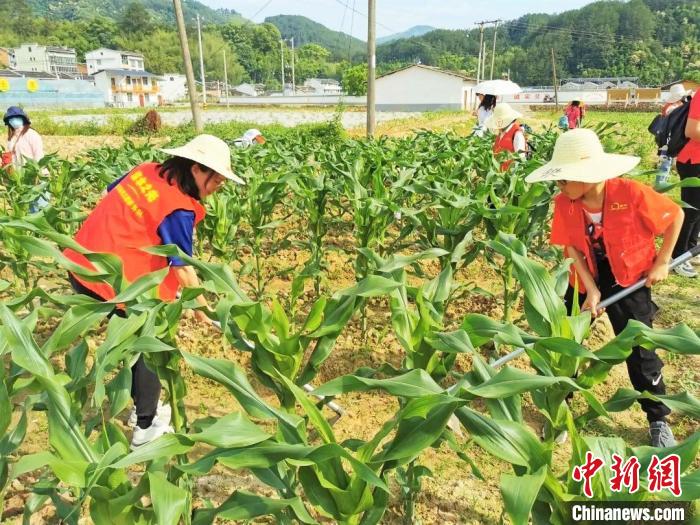 大手牵小手检察官“妈妈”情暖留守儿童