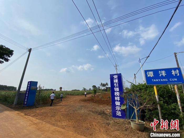 道崇村内的“乡村振兴农业生产实践基地”。　符宇群 摄