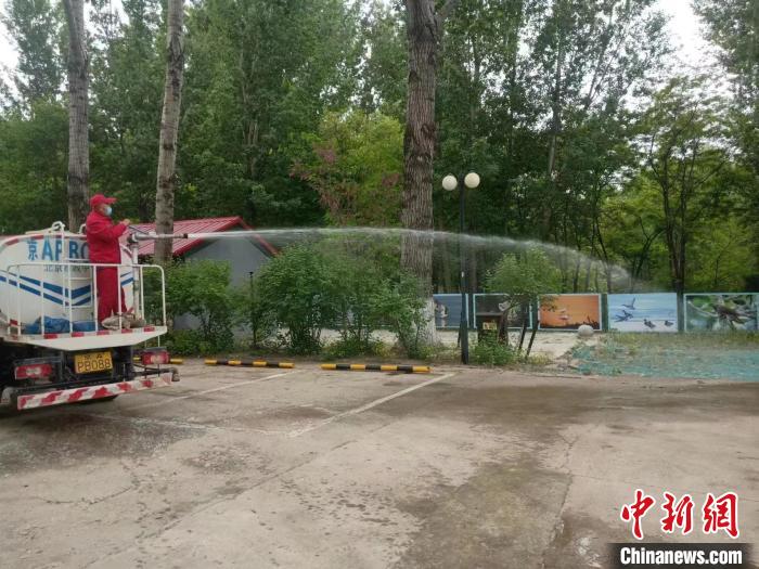 北京城区杨柳飞絮基本结束飞絮高发区域数同比减少逾三成