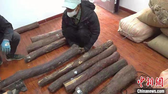 拉萨海关查获檀香紫檀千余公斤