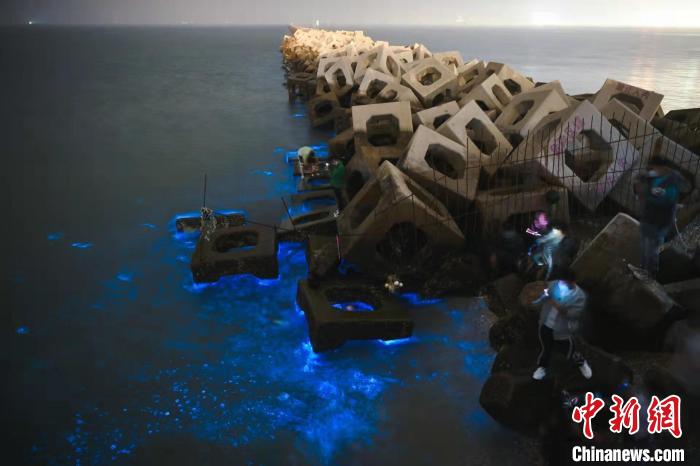 5月17日晚,天津东疆港海岸边,一波波“蓝眼泪”涟漪随浪袭来,吸引民众。 佟郁 摄 5月17日晚,天津东疆港海岸边,一波波“蓝眼泪”涟漪随浪袭来,吸引民众。 佟郁 摄