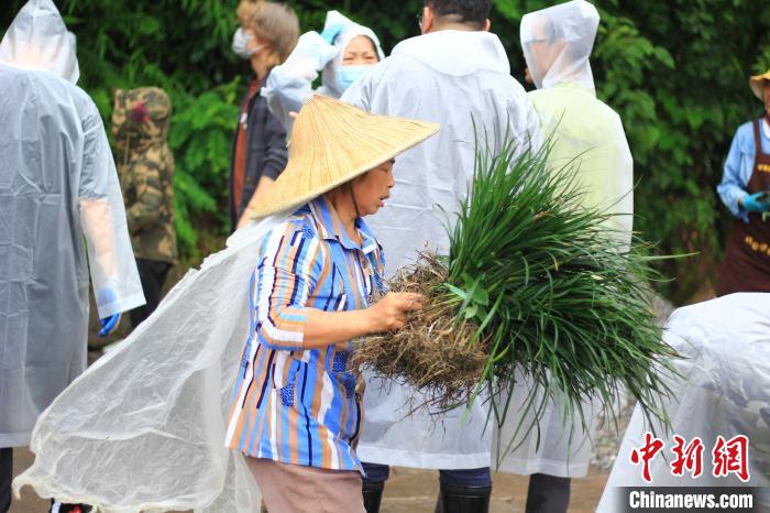 生态花园助力乡村振兴重庆小山村展现“乡土美学”