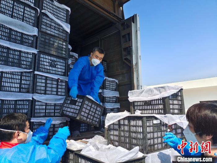 抗疫突击队深入社区街道疫情防控最前线 上海市委统战部供图 抗疫突击队深入社区街道疫情防控最前线 上海市委统战部供图