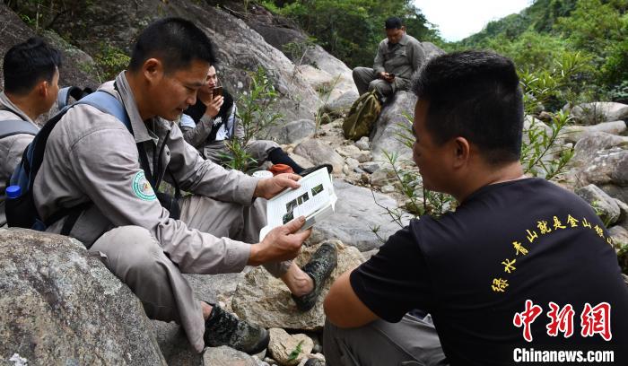 在巡护休息时间，护林员王进平(左)、王成凯(右)对照书籍交流鹦哥岭的鸟类知识。　尹海明 摄