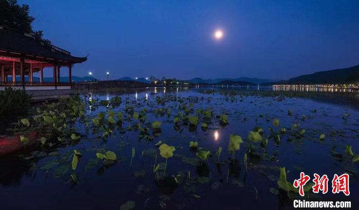 别让旅游为欺诈老人“背锅”
