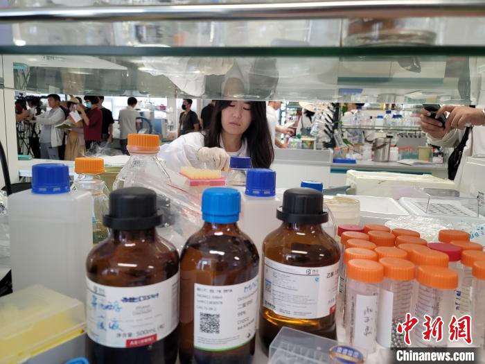 科研人员在开放实验室做实验。　王晓斌 摄