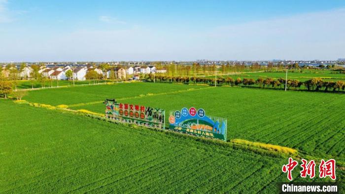 陶庄镇美丽乡村建设 陶庄镇供图 陶庄镇美丽乡村建设 陶庄镇供图