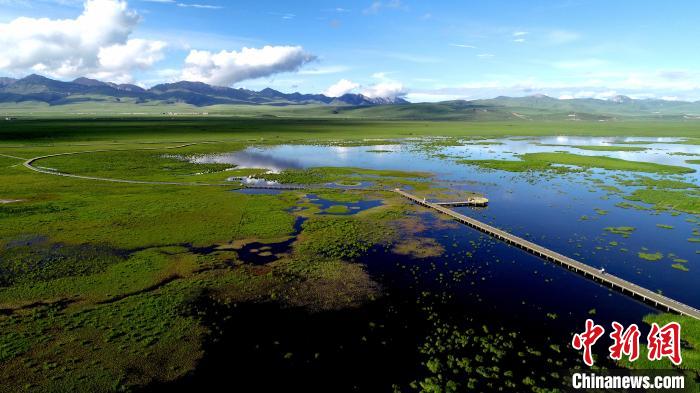 四川若尔盖湿地国家级自然保护区的花湖湿地。　安源 摄