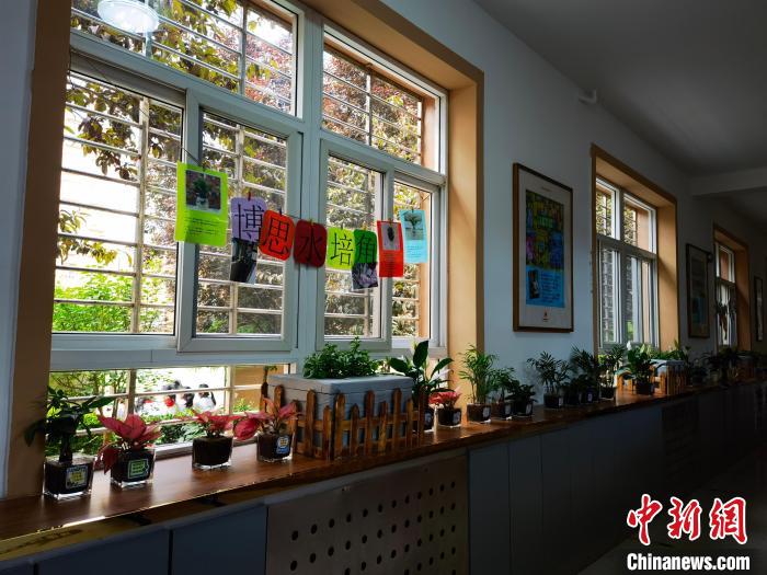 水培植物 甘蕾 摄 水培植物 甘蕾 摄