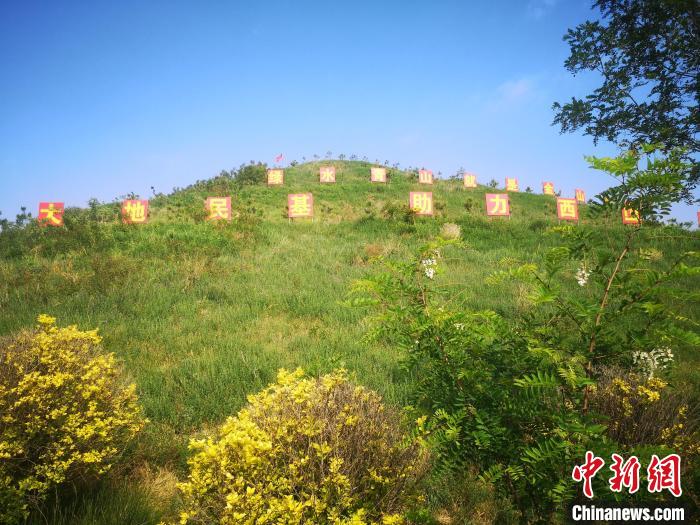 图为经过治理的杜儿坪矿矸石山。　范丽芳 摄