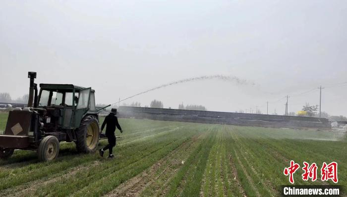 喷灌机器正在作业 受访者供图 喷灌机器正在作业 受访者供图