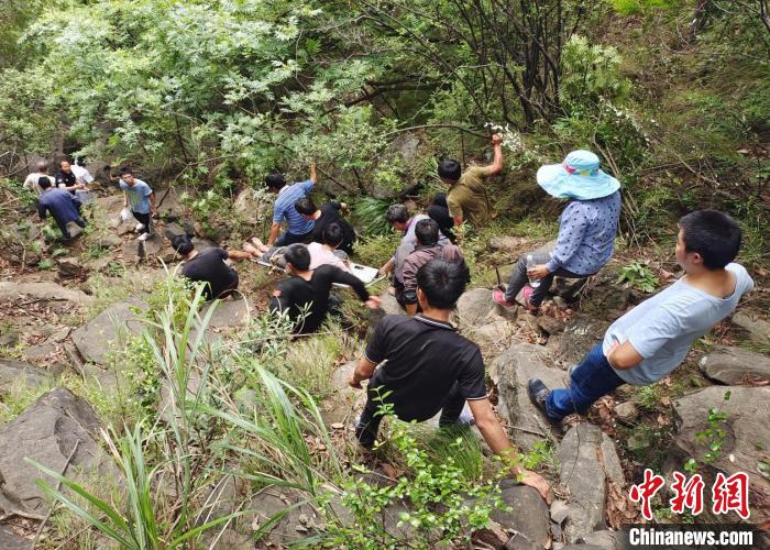 四川广元六旬老人采药摔伤被困深山警民合力成功救出